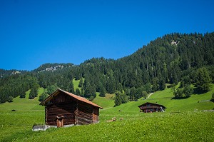 LA PRINCIPAUTE DU LIECHTENSTEIN, EUROPE 