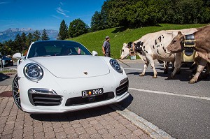 LA PRINCIPAUTE DU LIECHTENSTEIN, EUROPE 