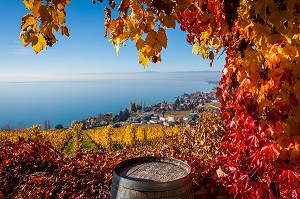 LES CANTONS SUISSES, SUISSE, EUROPE 