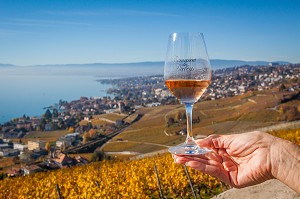 LES CANTONS SUISSES, SUISSE, EUROPE 
