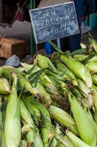 NEW YORK CITY, ETATS UNIS, USA, AMERIQUE DU NORD 