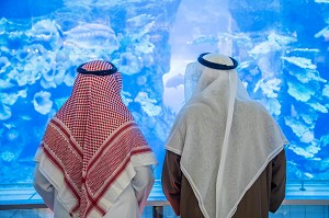HOMMES EMIRATIS EN TENUE TRADITIONNELLE CONTEMPLANT LE BASSIN PRINCIPAL DU GRAND AQUARIUM DU DUBAI MALL, CONTRASTE ENTRE TRADITION ET MODERNITE, RELIGION, ISLAM, MONDE MUSULMAN, DUBAI, GOLFE PERSIQUE, EAU, EMIRATS ARABES UNIS 