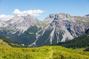 VUE SUR LA VALLEE D'AROSA DEPUIS LE WEISSHORN, NATURE, ALPES SUISSE, STATION D'AROSA, AROSA, CANTON DES GRISONS, SUISSE 