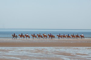 SORTIE A CHEVAL SUR LA PLAGE DE DEAUVILLE A MAREE BASSE, MER, DEAUVILLE, CALVADOS, NORMANDIE, FRANCE 