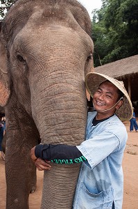 MAHOUT ET DRESSAGE D’ELEPHANTS, THAILANDE, ASIE 