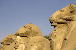 ILLUSTRATION DES SITES ANTIQUES DE LOUXOR, EGYPTE 