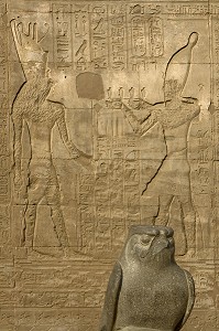 STATUE DE FAUCON DU HORUS, TEMPLE D'EDFOU, CE TEMPLE EST LE MIEUX CONSERVE DE TOUTE L’EGYPTE ANTIQUE, TEMPLE DEDIE AU DIEU FAUCON HORUS, LE TEMPLE FUT DEGAGE SOUS LA DIRECTION D’AUGUSTE MARIETTE A PARTIR DE 1859, EDFOU, EGYPTE, AFRIQUE 