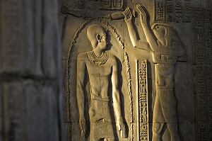 PHARAON PTOLEMEE XII ET LE DIEU FAUCON HORUS, TEMPLE DE KOM OMBO DEDIE A DEUX DIVINITES, LE DIEU FAUCON HORUS (OU HAROERIS) ET LE DIEU CROCODILE SOBEK, KOM OMBO, EGYPTE, AFRIQUE 