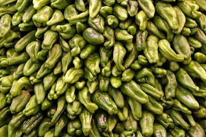 ETAL DE PIMENTS VERTS AU MARCHE 'LA BOQUERIA', TEMPLE CULINAIRE DEVENU UN DES PLUS GRAND MARCHE D'EUROPE, QUARTIER 'EL RAVAL', BARCELONA 