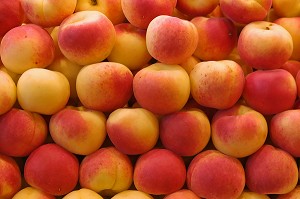 ETAL D'ABRICOTS AU MARCHE 'LA BOQUERIA', TEMPLE CULINAIRE DEVENU UN DES PLUS GRAND MARCHE D'EUROPE, QUARTIER 'EL RAVAL', BARCELONA 