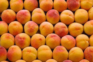 ETAL DE PECHES JAUNES AU MARCHE 'LA BOQUERIA', TEMPLE CULINAIRE DEVENU UN DES PLUS GRAND MARCHE D'EUROPE, QUARTIER 'EL RAVAL', BARCELONA 