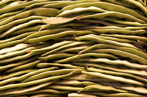 ETAL DE HARICOTS LONGS AU MARCHE 'LA BOQUERIA', TEMPLE CULINAIRE DEVENU UN DES PLUS GRAND MARCHE D'EUROPE, QUARTIER 'EL RAVAL', BARCELONA 
