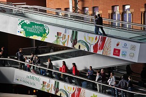 VOYAGEURS SUR LES ESCALATORS EN CORRESPONDANCE DE TRAIN, GARE D'ATOCHA, MADRID, ESPAGNE 