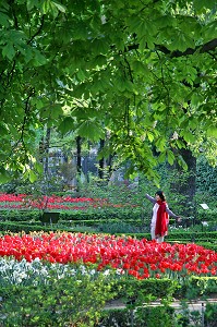 FEMME EN ROUGE DEVANT UN PARTERRE DE TULIPES, JARDIN BOTANIQUE ROYAL (JARDIN BOTANIQUE), MADRID, ESPAGNE 