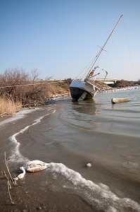 MARAIS ET PLANS D’EAU EN CAMARGUE, SUD DE LA FRANCE 