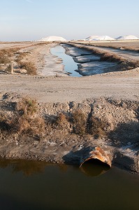 MARAIS ET PLANS D’EAU EN CAMARGUE, SUD DE LA FRANCE 