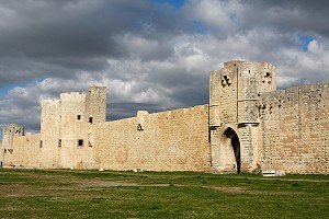 ILLUSTRATION CAMARGUE, GARD (30), LANGUEDOC-ROUSSILLON, FRANCE 