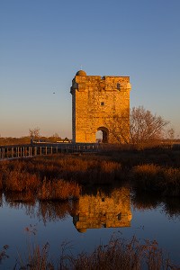 ILLUSTRATION CAMARGUE, GARD (30), LANGUEDOC-ROUSSILLON, FRANCE 