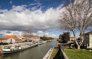 ILLUSTRATION CAMARGUE, GARD (30), LANGUEDOC-ROUSSILLON, FRANCE 