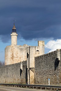 ILLUSTRATION CAMARGUE, GARD (30), LANGUEDOC-ROUSSILLON, FRANCE 