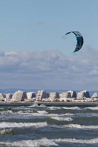 ILLUSTRATION CAMARGUE, HERAULT (34), LANGUEDOC-ROUSSILLON, FRANCE 