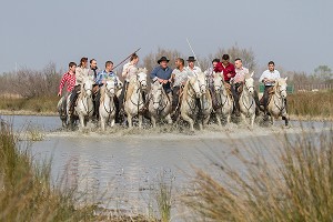 ILLUSTRATION CAMARGUE, GARD (30), LANGUEDOC-ROUSSILLON, FRANCE 