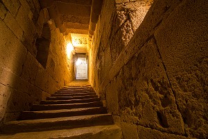 ILLUSTRATION CAMARGUE, HERAULT (34), LANGUEDOC-ROUSSILLON, FRANCE 