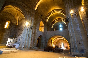 ILLUSTRATION CAMARGUE, HERAULT (34), LANGUEDOC-ROUSSILLON, FRANCE 