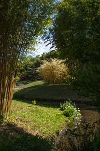 BAMBOUSERAIE D'ANDUZE, GENERARGUES, GARD (30), LANGUEDOC-ROUSSILLON, FRANCE 
