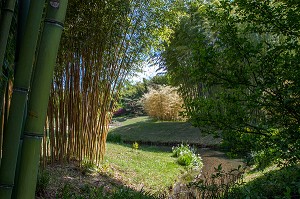 BAMBOUSERAIE D'ANDUZE, GENERARGUES, GARD (30), LANGUEDOC-ROUSSILLON, FRANCE 