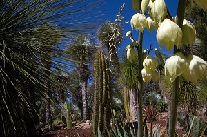 JARDIN ZOOLOGIQUE TROPICAL, LA-LONDE-LES-MAURES, (83) VAR, PACA, FRANCE 