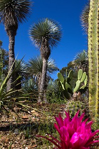 JARDIN ZOOLOGIQUE TROPICAL, LA-LONDE-LES-MAURES, (83) VAR, PACA, FRANCE 