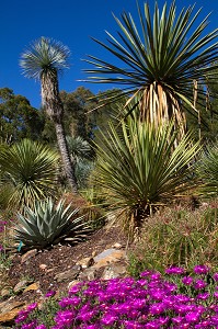 JARDIN ZOOLOGIQUE TROPICAL, LA-LONDE-LES-MAURES, (83) VAR, PACA, FRANCE 