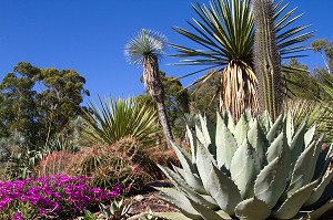 JARDIN ZOOLOGIQUE TROPICAL, LA-LONDE-LES-MAURES, (83) VAR, PACA, FRANCE 