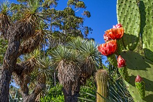 JARDIN ZOOLOGIQUE TROPICAL, LA-LONDE-LES-MAURES, (83) VAR, PACA, FRANCE 