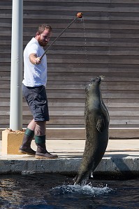 SEAQUARIUM, GRAU-DU-ROI, (30) GARD, LANGUEDOC-ROUSSILLON, FRANCE 