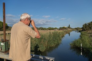 DEMOUSTICATION EN CAMARGUE, (30) GARD, LANGUEDOC-ROUSSILLON, FRANCE 