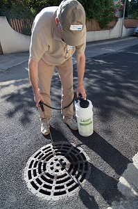 DEMOUSTICATION EN CAMARGUE, (30) GARD, LANGUEDOC-ROUSSILLON, FRANCE 