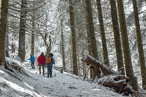 SAMOENS, (74) HAUTE SAVOIE, RHONE ALPES, FRANCE 
