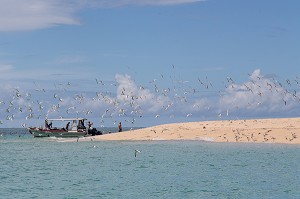 ARCHIPEL DES COMORES, OCEAN INDIEN, (976) MAYOTTE, DROM, FRANCE 