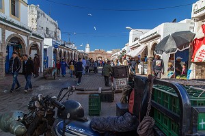 ESSAOUIRA, MOGADOR, CITE PORTUAIRE, COTE ATLANTIQUE, MAROC, AFRIQUE DU NORD 