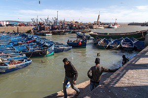 ESSAOUIRA, MOGADOR, CITE PORTUAIRE, COTE ATLANTIQUE, MAROC, AFRIQUE DU NORD 