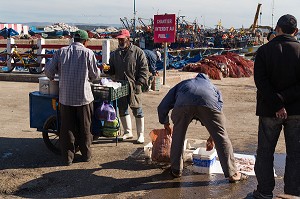 ESSAOUIRA, MOGADOR, CITE PORTUAIRE, COTE ATLANTIQUE, MAROC, AFRIQUE DU NORD 