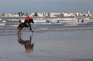 ESSAOUIRA, MOGADOR, CITE PORTUAIRE, COTE ATLANTIQUE, MAROC, AFRIQUE DU NORD 