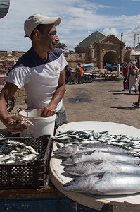 ESSAOUIRA, MOGADOR, CITE PORTUAIRE, COTE ATLANTIQUE, MAROC, AFRIQUE DU NORD 