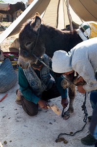 ESSAOUIRA, MOGADOR, CITE PORTUAIRE, COTE ATLANTIQUE, MAROC, AFRIQUE DU NORD 