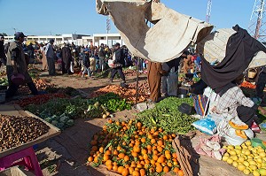 ESSAOUIRA, MOGADOR, CITE PORTUAIRE, COTE ATLANTIQUE, MAROC, AFRIQUE DU NORD 