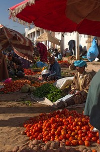 ESSAOUIRA, MOGADOR, CITE PORTUAIRE, COTE ATLANTIQUE, MAROC, AFRIQUE DU NORD 