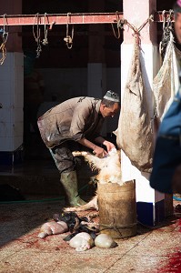 ESSAOUIRA, MOGADOR, CITE PORTUAIRE, COTE ATLANTIQUE, MAROC, AFRIQUE DU NORD 