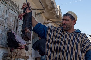 ESSAOUIRA, MOGADOR, CITE PORTUAIRE, COTE ATLANTIQUE, MAROC, AFRIQUE DU NORD 